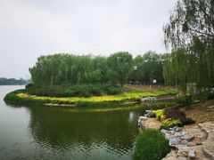 -大兴滨河森林公园