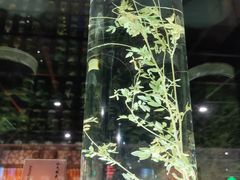 -广东中医药博物馆