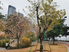 -洲头咀公园