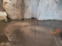 -香山湖家家宴(中山陵店)