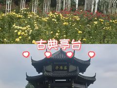 -东湖落雁景区