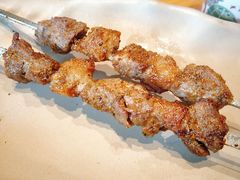 额尔敦大肉串-额尔敦传统涮火锅·烧烤(鑫源山庄店)