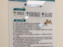 -瑞派康怡24h宠物医院·犬猫医疗中心·微创绝育(瑞景分院)