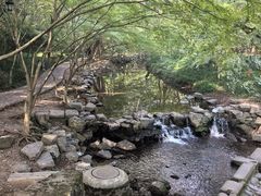 -东航云逸酒店(九溪烟树店)
