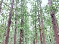 -上海怡沁园度假酒店