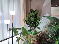 大堂-théATRE 茶聚场(王府中環店)