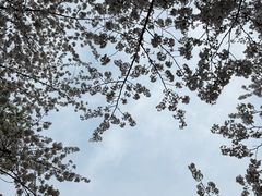 -林坑古村落