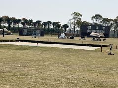 -春花秋色城市公园