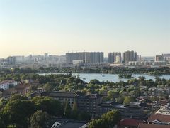 -梧桐餐厅(泉城路店)