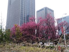 -无锡市市民中心