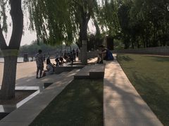 -大兴滨河森林公园