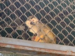 -长白岛森林公园