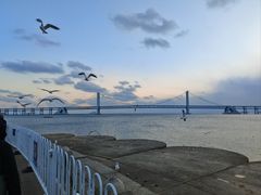 -星海广场