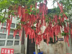 -重庆云阳龙缸景区