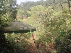 -芦仙山景区-飞越丛林探险乐园