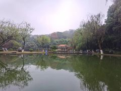 -石峰公园