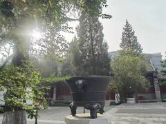 -大钟寺古钟博物馆
