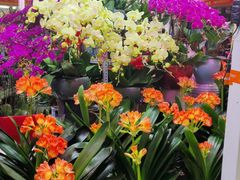 -三旗百汇商品城