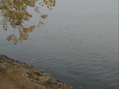 -东湖落雁景区