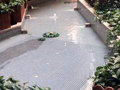 -护国新天地