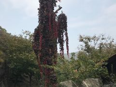 -北京水岸山吧度假村(雁栖镇店)