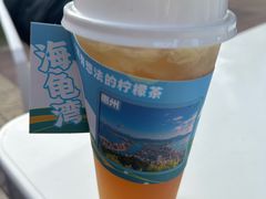 -广东惠东海龟国家级自然保护区