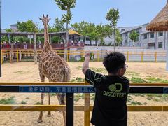 -西霞口神雕山野生动物世界