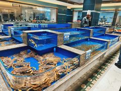 -帝皇海海鲜豆捞(桐泾商务广场店)