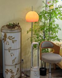 -变美丽半永久纹眉连锁·机器野生眉•洗眉