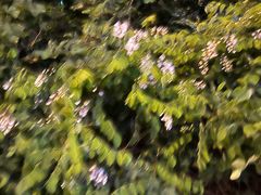 -鸥迪足道会馆(北京街店)