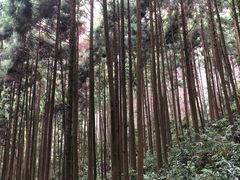 -雁荡山大龙湫景区