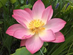 -渭南桃花源民俗文化园