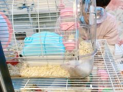 -萌兽医馆·眼科·异宠专科(三里屯店)