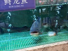 -鱼你相聚·河鲜馆(袁家岭店)