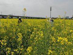 -光明小镇欢乐田园
