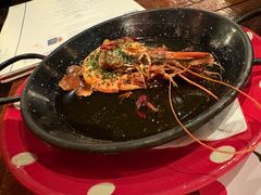 -TOMATITO(无限极荟店)