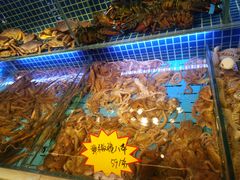 水产区-必点海鲜·鲅鱼水饺(鞍山西道店)