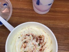 彩虹茉莉-茶百道(盛京大奥莱店)