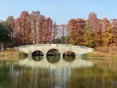 -中国科学院华南植物园
