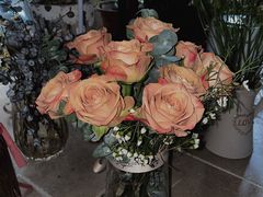 -植物学家的女儿(北马道巷店)