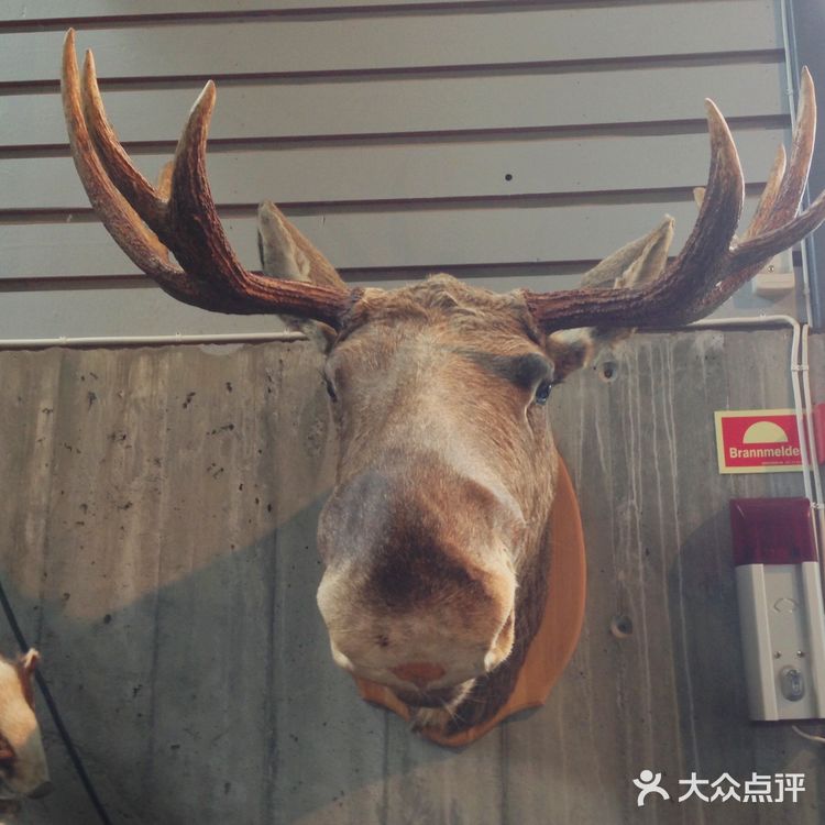 休息驿站