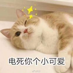 -美丽匯形象定制