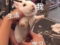 -Victoria's Secret(苏州中心全品类店)