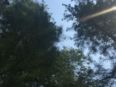 -新江湾城公园