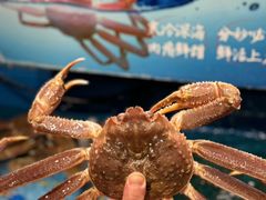 -恭喜上堓砂锅焗·海鲜大排档(闵行龙湖店)