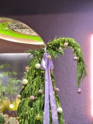 -花隐·美芙炫海菲秀皮肤管理中心