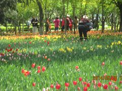 专业人士-长春公园(普阳街道)