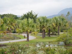 -中国科学院西双版纳热带植物园
