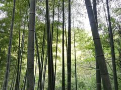 -山沟沟景区