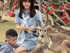 -泉州海丝野生动物世界